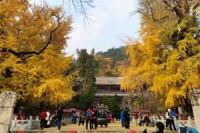 潭柘寺各个殿都求什么