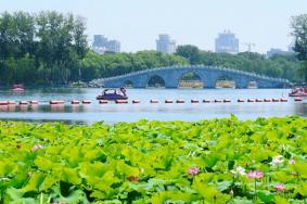 2024玉渊潭公园暑期游园攻略