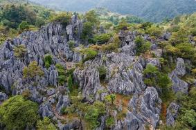 2023千岛湖石林景区门票优惠政策