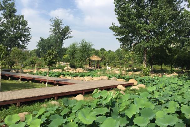 北京免费湿地公园有哪些景点