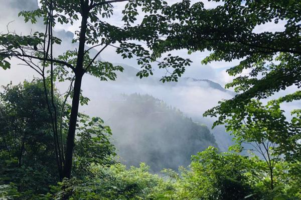 绵阳避暑的地方有哪些 十大避暑胜地