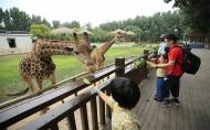 2024北京野生动物园旅游攻略-门票价格-景点信息