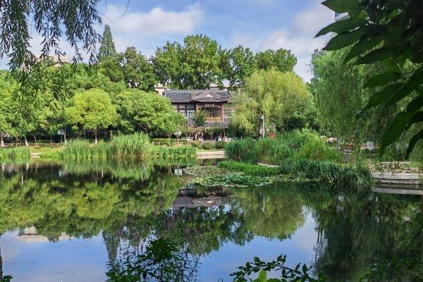 南京市区的公园有哪些值得一去