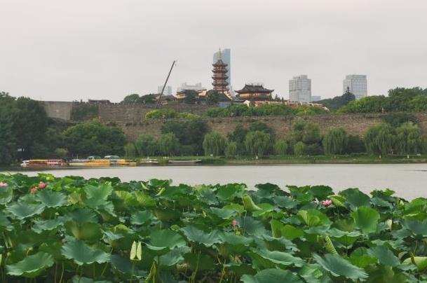 南京市区的公园有哪些值得一去