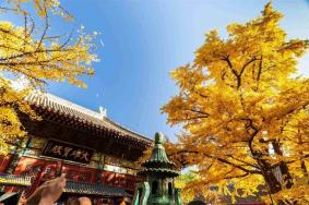 红螺寺求姻缘流程