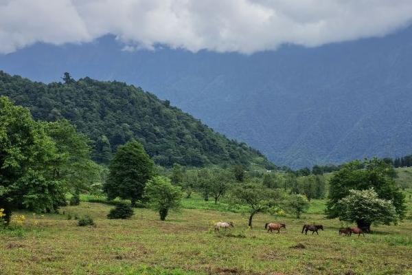 乐山避暑胜地有哪些地方