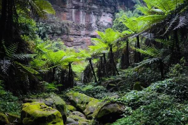 樂山避暑勝地有哪些地方