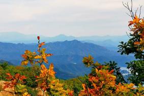 北京云蒙山索道多少钱