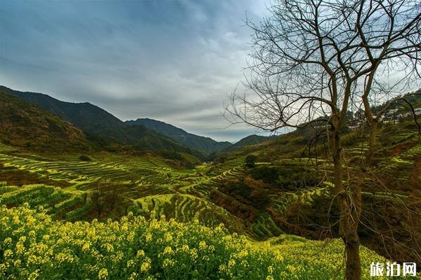 篁岭古村怎么坐车 篁岭看油菜花最佳时间地点