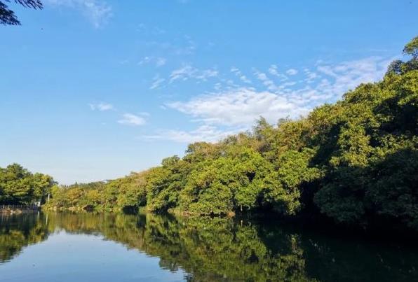 深圳夏天去哪玩比較好