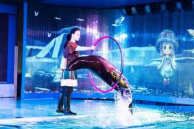 深圳欢乐海岸海洋奇梦馆和观澜海洋世界哪个好玩