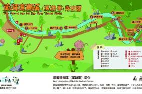 南海湾森林生态园溯溪路线图