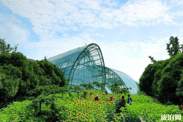 重庆南山植物园门票多少钱-最佳赏花期及游玩攻略