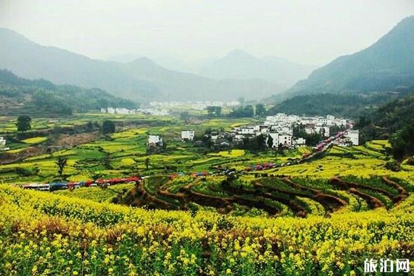 篁岭古村怎么坐车 篁岭看油菜花最佳时间地点