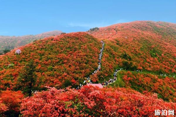 贵州最佳旅游季节是几月份 贵州旅游路线规划自驾游
