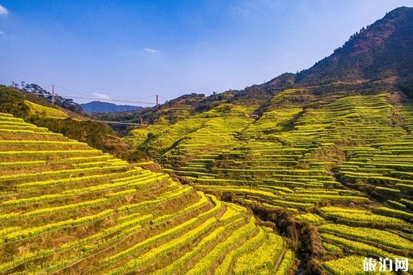 篁岭古村怎么坐车 篁岭看油菜花最佳时间地点