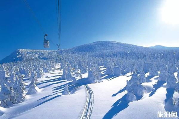 富良野滑雪场游玩攻略-交通指南
