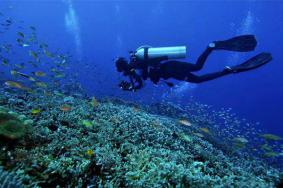 2024三亚西岛潜水基地旅游攻略-门票价格-景点信息