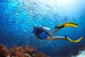 2024分界洲岛潜水度假村旅游攻略-门票价格-景点信息