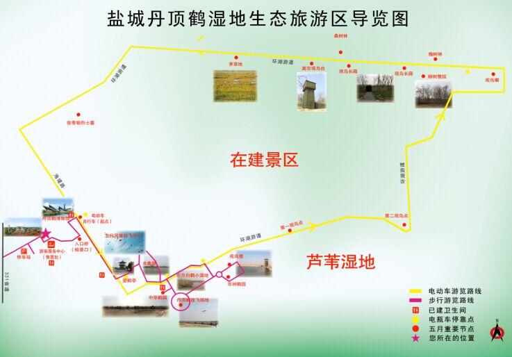 鹽城丹頂鶴濕地生態旅游區游玩攻略-門票價格-景點信息