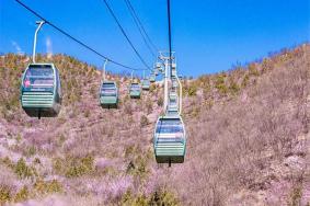 2023千灵山旅游攻略