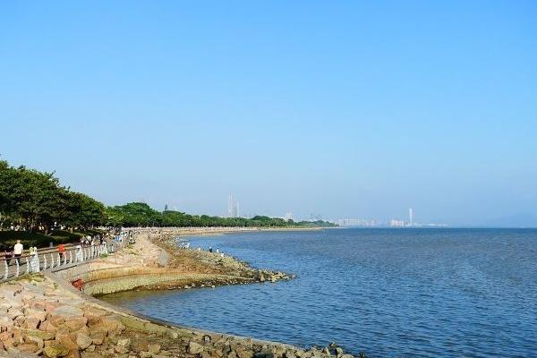 深圳公園游玩攻略大全