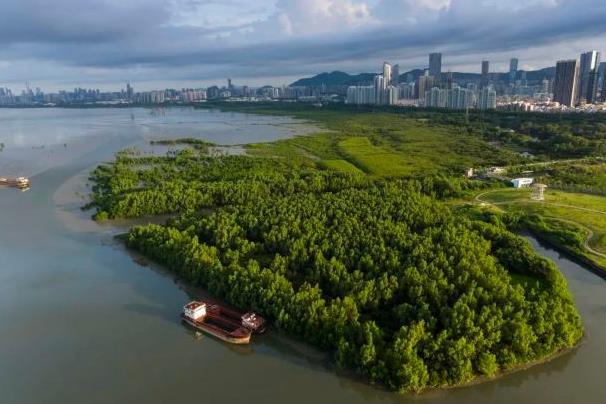 深圳公園游玩攻略大全