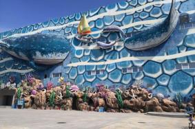 华夏文旅海洋公园门票可以现场买吗