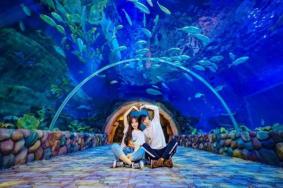 华夏文旅海洋公园门票包含什么