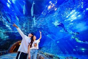 华夏文旅海洋公园和曲江海洋公园哪个好