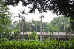 广州沙面岛要门票吗