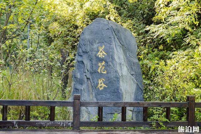 豐都南天湖景區(qū)游玩攻略 豐都南天湖景區(qū)好耍不