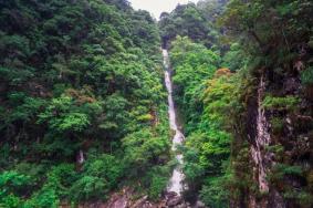 三百山游玩全攻略 一篇搞定吃住行游购娱