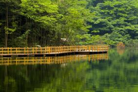 西河景区有哪些景点