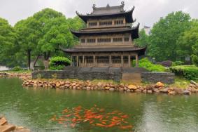 2023岳阳楼背诵免门票时间