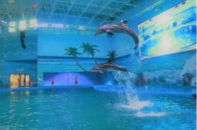 贵州极地海洋世界8月12日起取消海豚剧场喷火表演