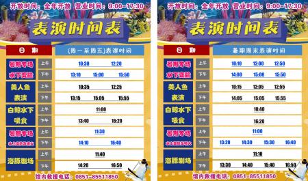 贵州极地海洋世界表演时间表2024