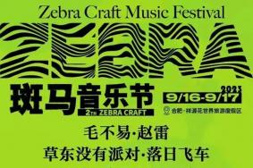 2023合肥斑马音乐节时间+门票+阵容