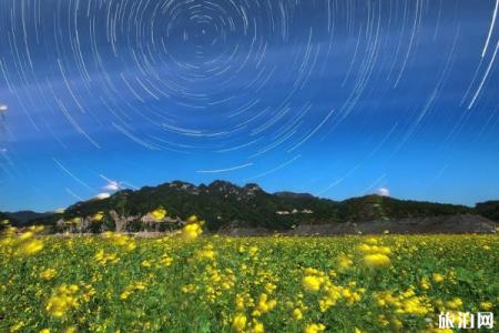 绿江村最适合几月去 绿江村最佳旅游时间和季节