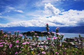 南诏风情岛旅游攻略一日游