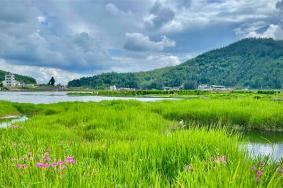 腾冲北海湿地公园旅游攻略一日游