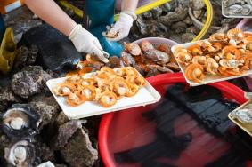 开海季涠洲岛有哪些好吃的海鲜推荐