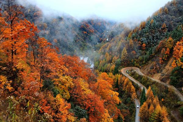 四川秋天旅游哪里景色最美 十大秋季旅游好去处