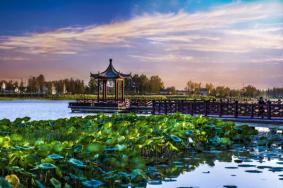 2023灌云潮河湾门票多少钱