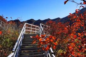 秋季北京周邊旅游景點推薦