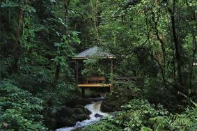 瑞丽莫里热带雨林景区旅游攻略-门票价格-景点信息