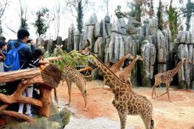2024云南野生动物园旅游攻略-门票价格-景点信息