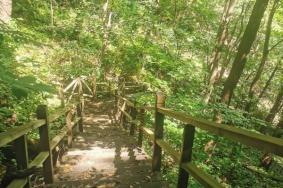 和睦森林公园有什么景点
