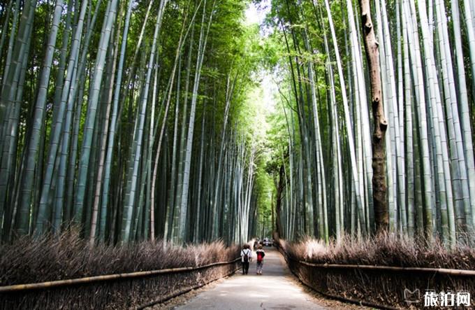 京都必去景点 京都两日游路线推荐