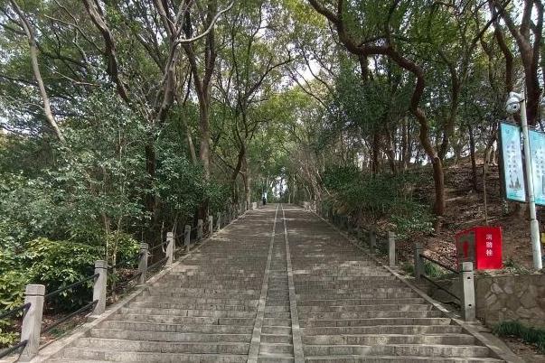 上海适合带孩子去玩的森林公园有哪些